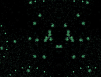 Similar image 22018100