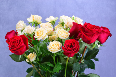 Similar image 21991899