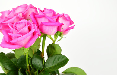 Similar image 21991901