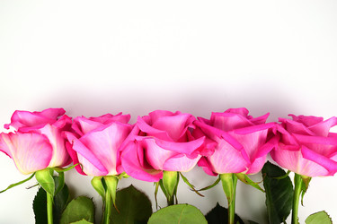 Similar image 21991906