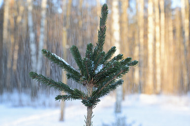 Similar image 21991946