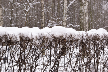 Similar image 21991953