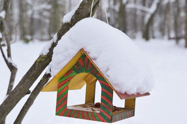 Similar image 21991955