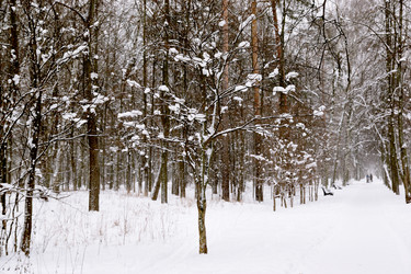 Similar image 21992217