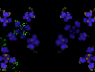 Similar image 22018102