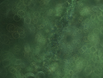 Similar image 22011322