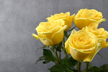 Similar image 21991989