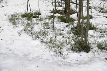 Similar image 21991996