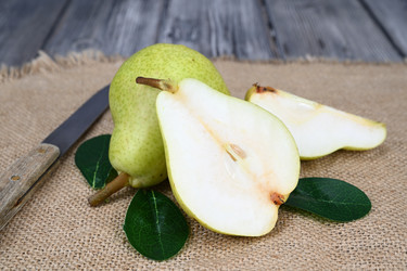 Similar image 21992242