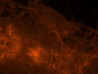 Similar image 22005826