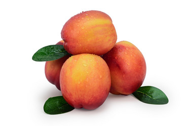 Similar image 21992010