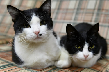 Similar image 21992269