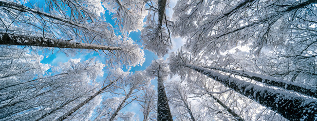 Similar image 21997598