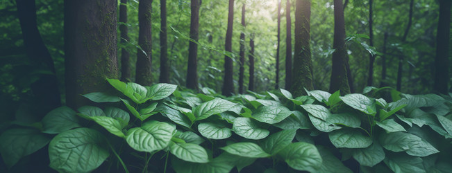 Similar image 21997604