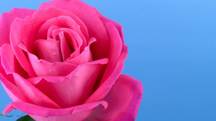 Similar image 21992041