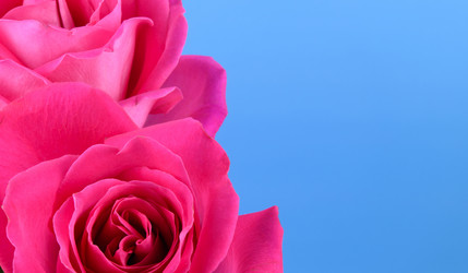 Similar image 21992043