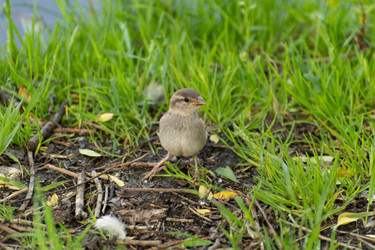 Similar image 21992044