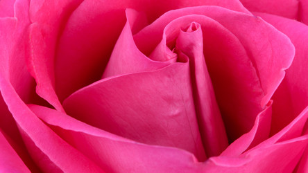 Similar image 21992045