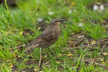 Similar image 21992046