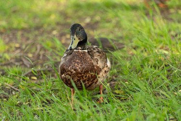 Similar image 21992048