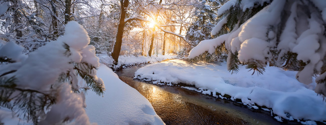 Similar image 21997808