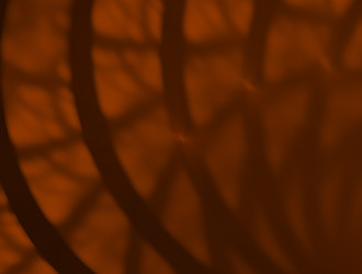 Similar image 22017800