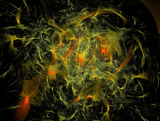 Similar image 22005635