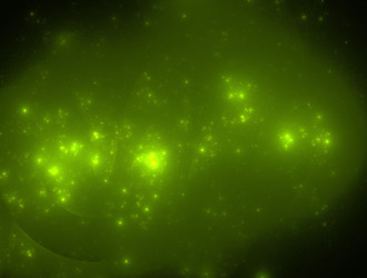 Similar image 22005833