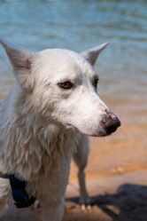 Similar image 21992070