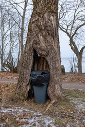 Similar image 21992072