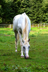 Similar image 21992073