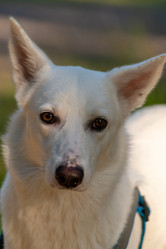 Similar image 21992079