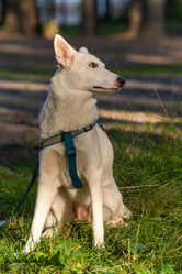 Similar image 21992080