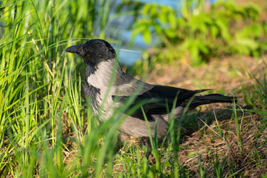 Similar image 21992084