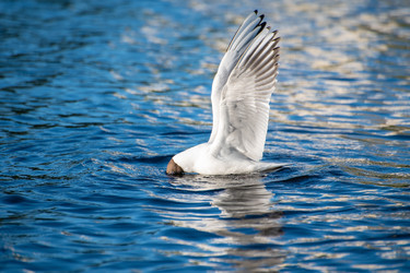 Similar image 21992091