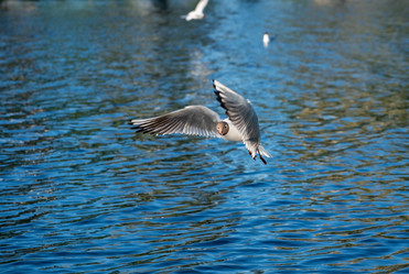 Similar image 21992093