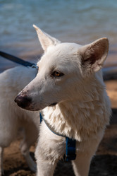 Similar image 21992096