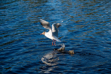 Similar image 21992097