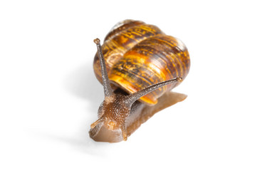 Similar image 21992100