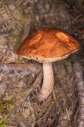 Similar image 21992275