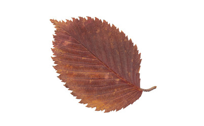 Similar image 21992279