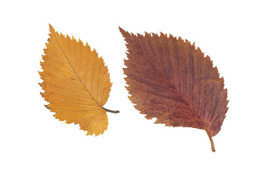 Similar image 21992283