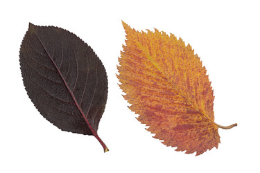 Similar image 21992285