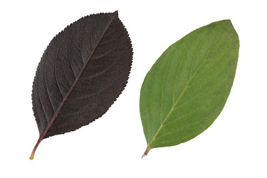 Similar image 21992289