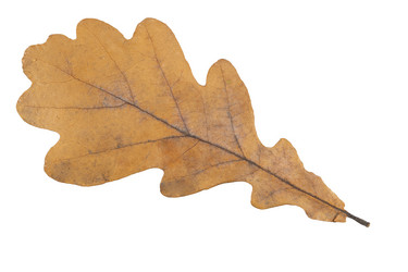 Similar image 21992291