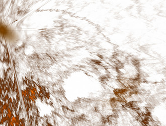 Similar image 22005241