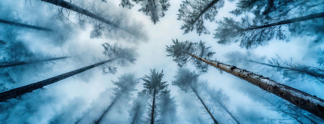 Similar image 21997668