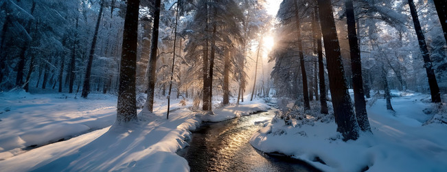 Similar image 21997673