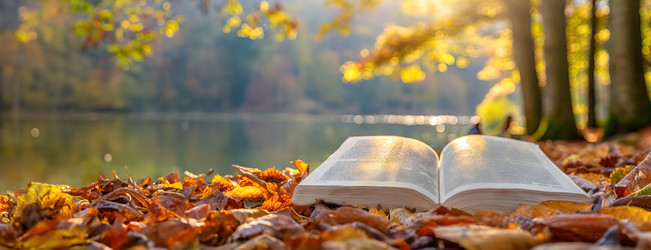 Similar image 21997680