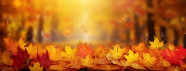 Similar image 21997695